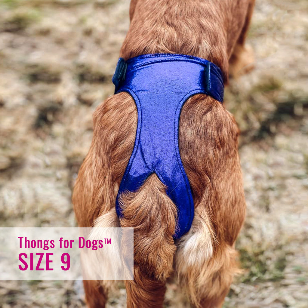 Thongs for DogsTM - SIZE 09