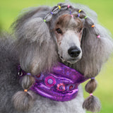 Collar Cover