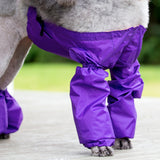 Pee Jacket for Standard Poodles