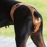 Thongs for DogsTM - SIZE 06