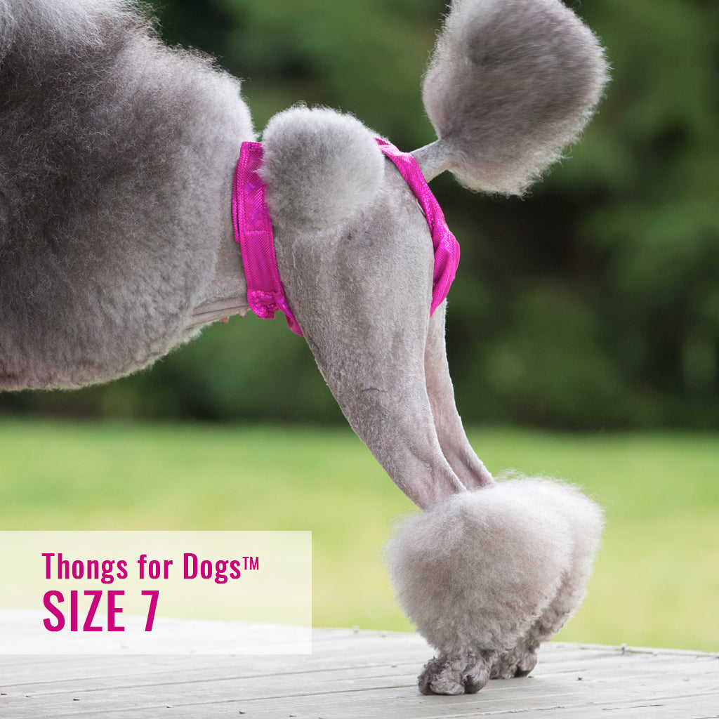 Thongs for DogsTM - SIZE 07