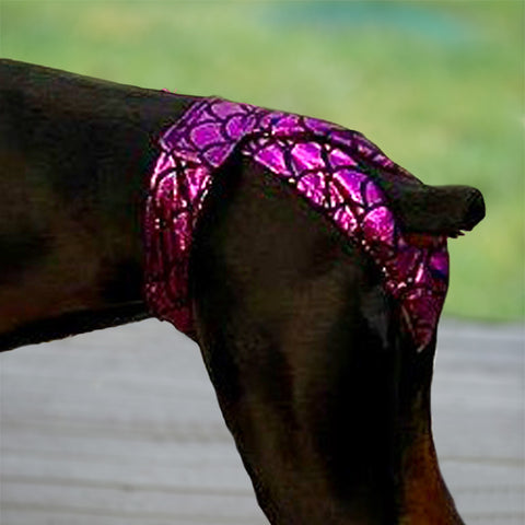 Thongs for DogsTM - SIZE 07