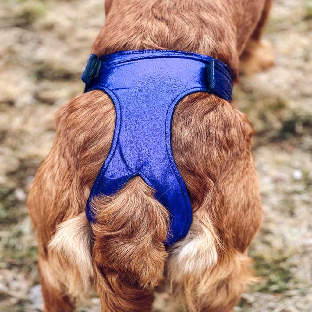 Thongs for DogsTM - SIZE 07