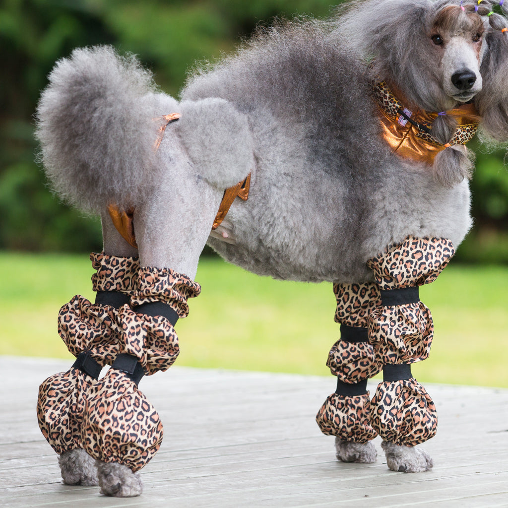 Fluffy Dog Patch Leggings, Mini Rodini Leggings