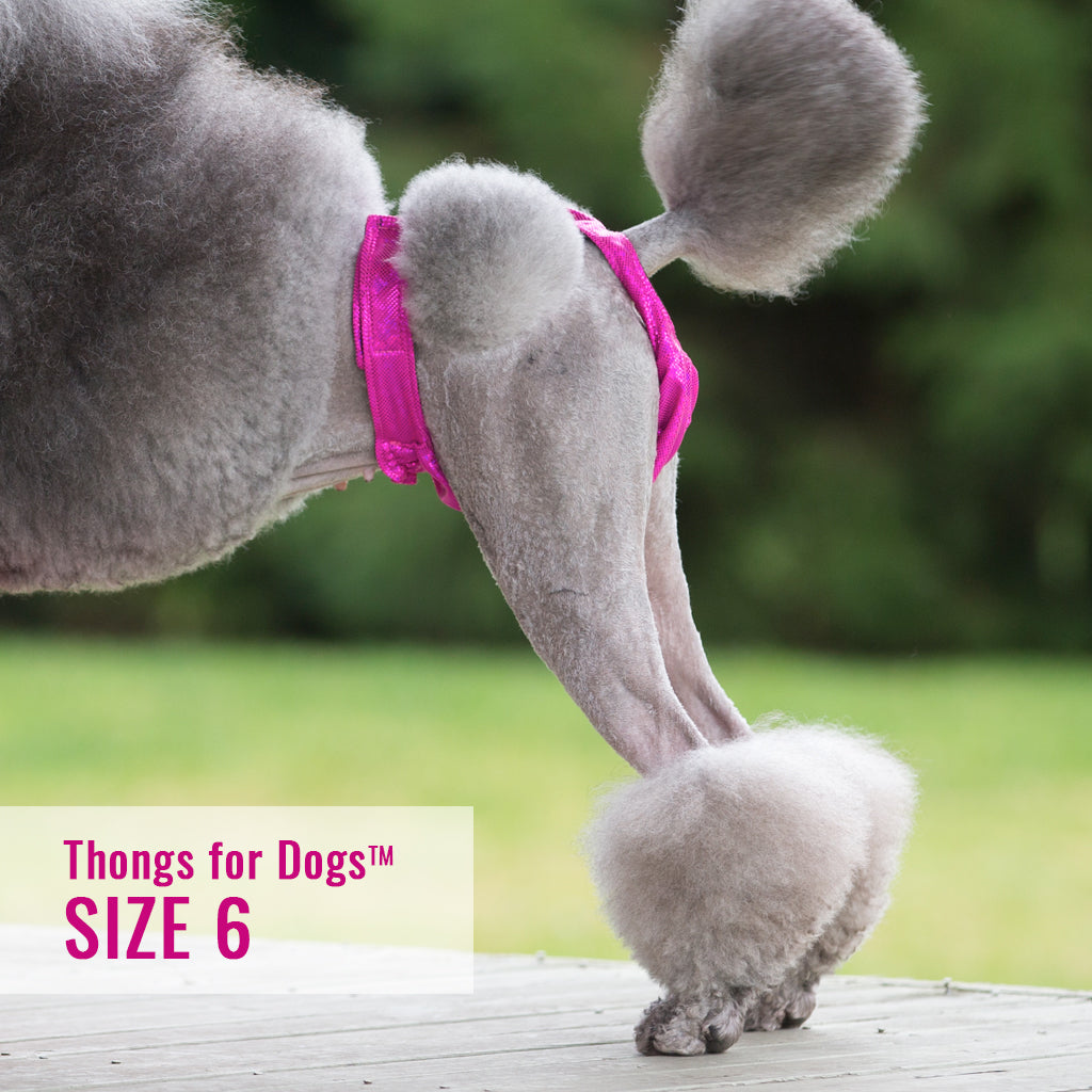 Thongs for DogsTM - SIZE 06